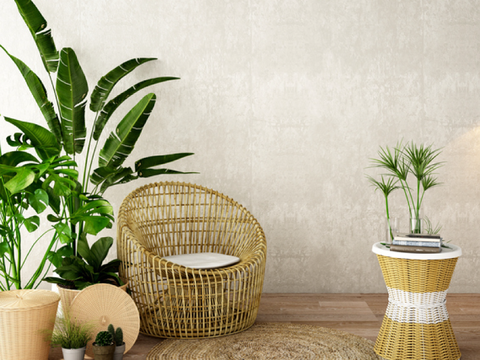 Decorate and Brighten Up Your Home with Indoor Plants